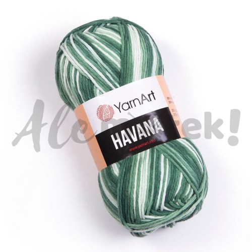 YarnArt Havana 2113