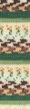 Alize Wooltime 11021 - puszcza