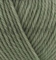 Alize Wooltime 274 - oliwkowy