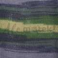 YarnArt Forza 2505