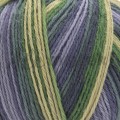 YarnArt Forza 2505