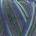 YarnArt Forza 2506