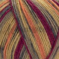 YarnArt Forza 2509