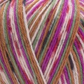 YarnArt Forza 2513
