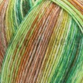 YarnArt Forza 2604